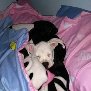 Meet your Posher, Jenna